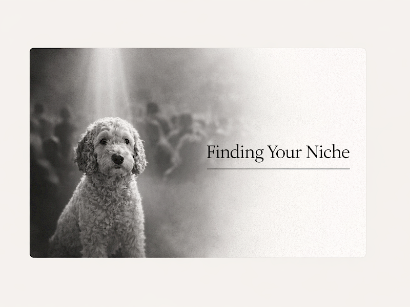 Niche down for success for copywriters