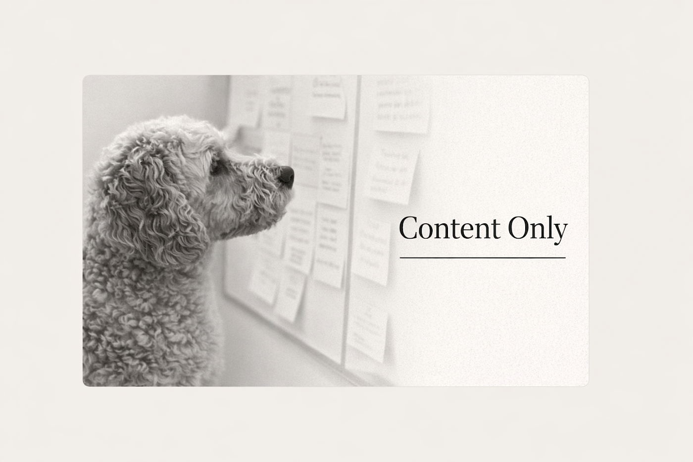 Just looking for content?