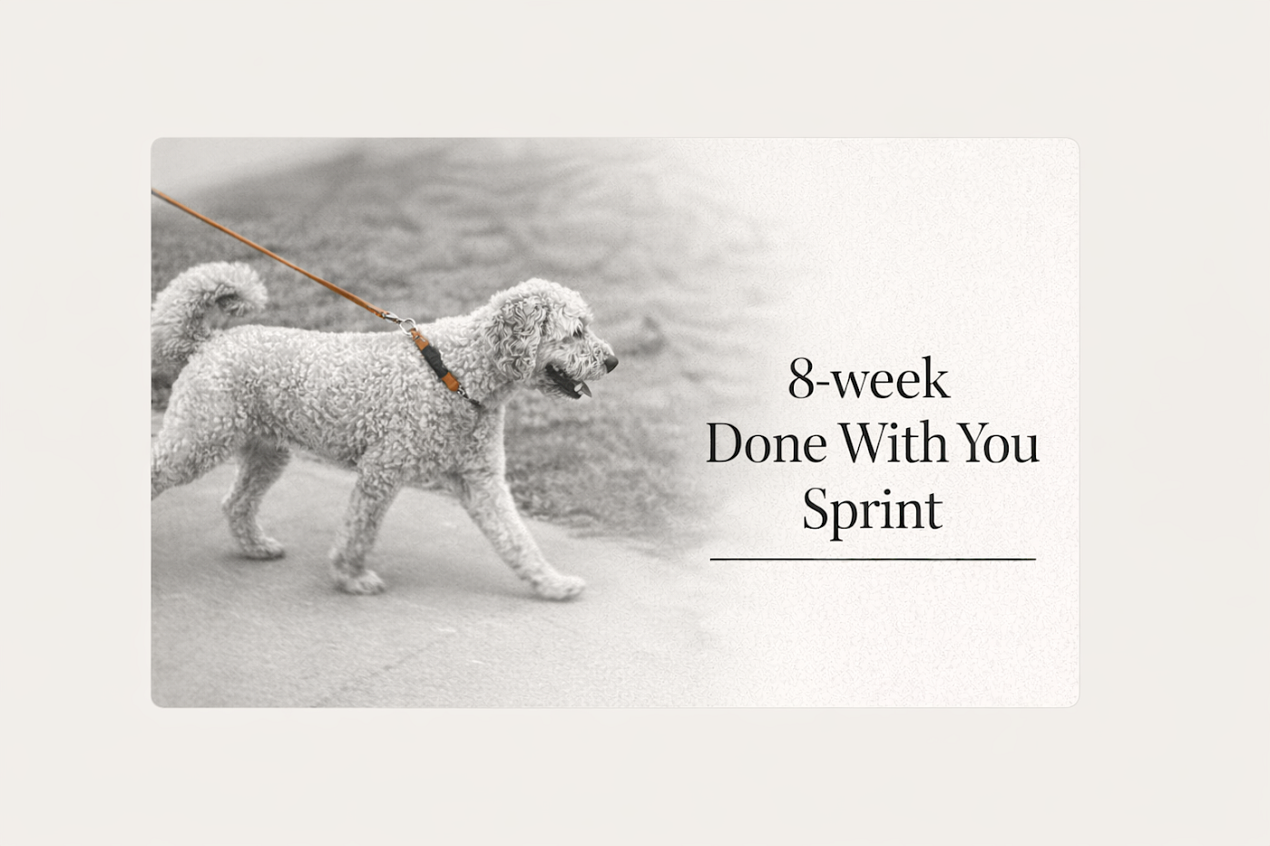 8-week Done With You Sprint